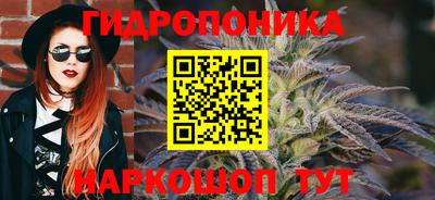 мет Новозыбков
