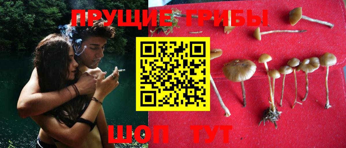 закладки  Вход с VPN  Сызрань  Галлюциногенные грибы Magic Shrooms 
